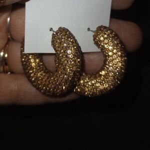 Elegant Gold/Tan Gemstone Hoop Earrings